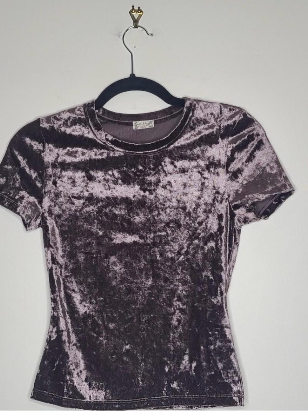 Free People Crushed Velvet Short Sleeve Tee in Dusty Mauve